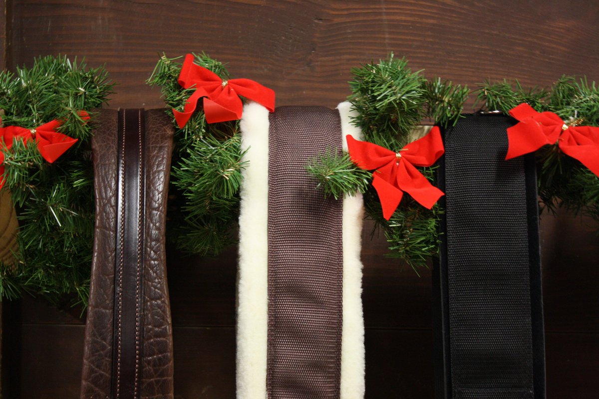 walshproducts's tweet photo. Looking for the perfect holiday gift for that special horse enthusiast in your life? Look no further than https://t.co/dS3A1Rp3Lz https://t.co/lkPCqCzOnF