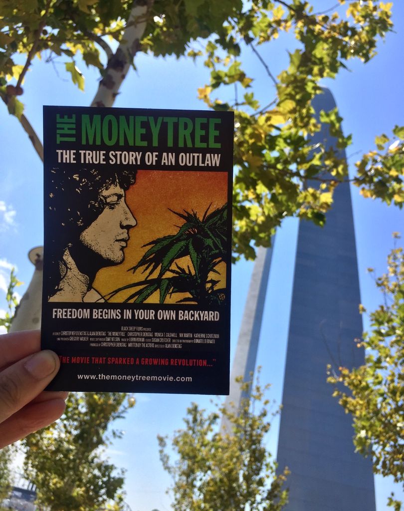 moneytreechris's tweet photo. Going into winter like.... #SunnyDays come visit us again! 

We love this #Summer 2017 view of the Arch in St. Louis on our #CannabisTour.

Where would you like our tour to go next year? 

#CannabisMovie #MarijuanaMovie #Marijuana #MedicalMarijuana https://t.co/lc0eE2IXq7