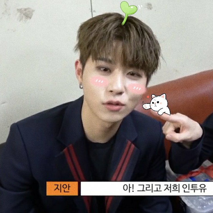 in2itsofties's tweet photo. ˚₊· ͟͟͞͞➳❥ Jiahn
#지안  #인투잇 #IN2IT https://t.co/5pQcSAmCja
