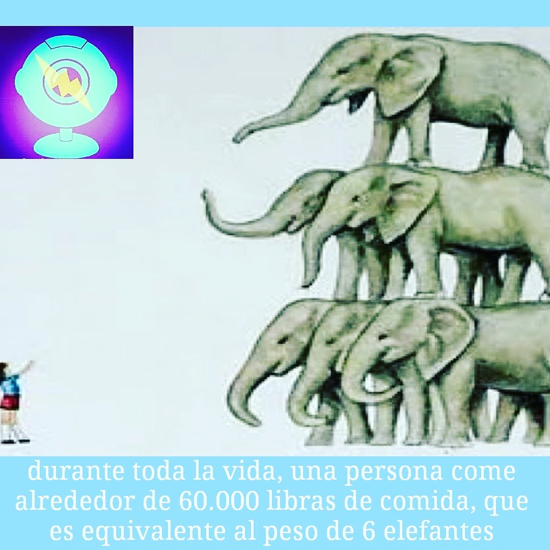Mucha cantidad de comidad diria yo 😱, y
Cuentenme: ¿que dicen ustedes?¿sera que mis seguidores comeran mucho?😎 RT.....
.
#sercuriosotv #curiosos #curioso #curiosidades #datos #datocurioso #colombia #españa #venezuela  #mexico #mx  #2017  #sigueloytesigo #siguemeytesigodevuelta