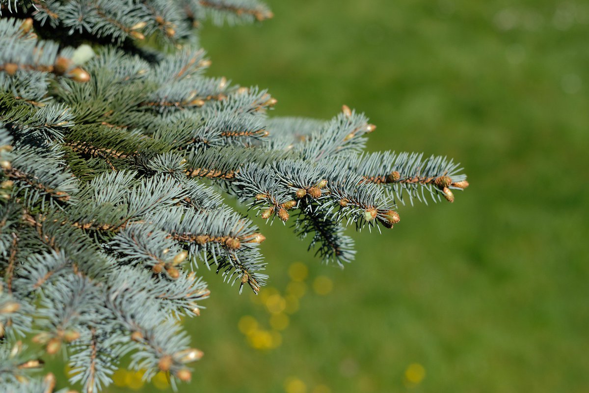 Mental health is everyone’s concern - look out for your family, friends and colleagues this Christmas anz.co/LWfK30heI8C #RUOK <a href="/_alexisageorge/">Alexis George</a>