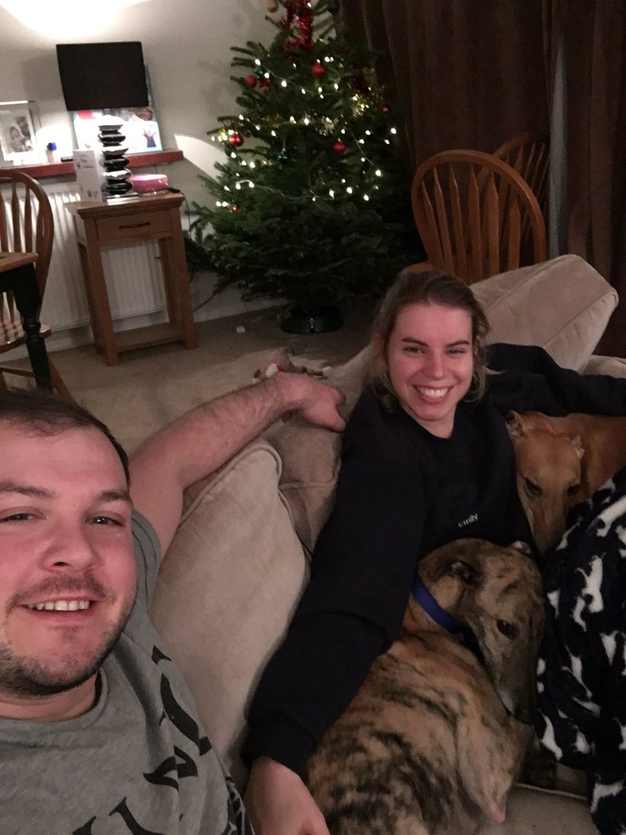 divagreyhound's tweet photo. First time me and @FreddieTheGrey have got on the sofa together with mum and dad! #Winning #Snuggles https://t.co/LUEwrNDFex
