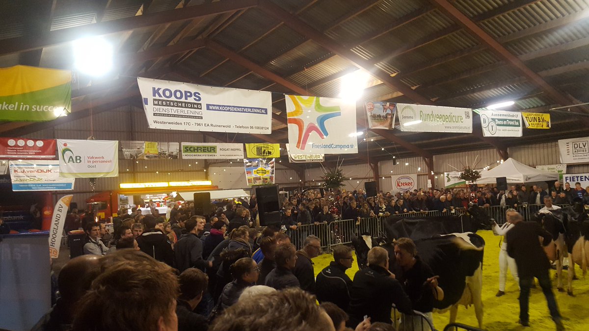 Prachtige koeien, enorm veel publiek <a href="/ZWHoek/">De Zuidwesthoek</a> keuring.