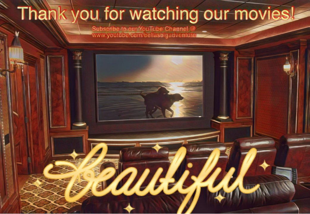 Bellas Big Adventure tweet media
