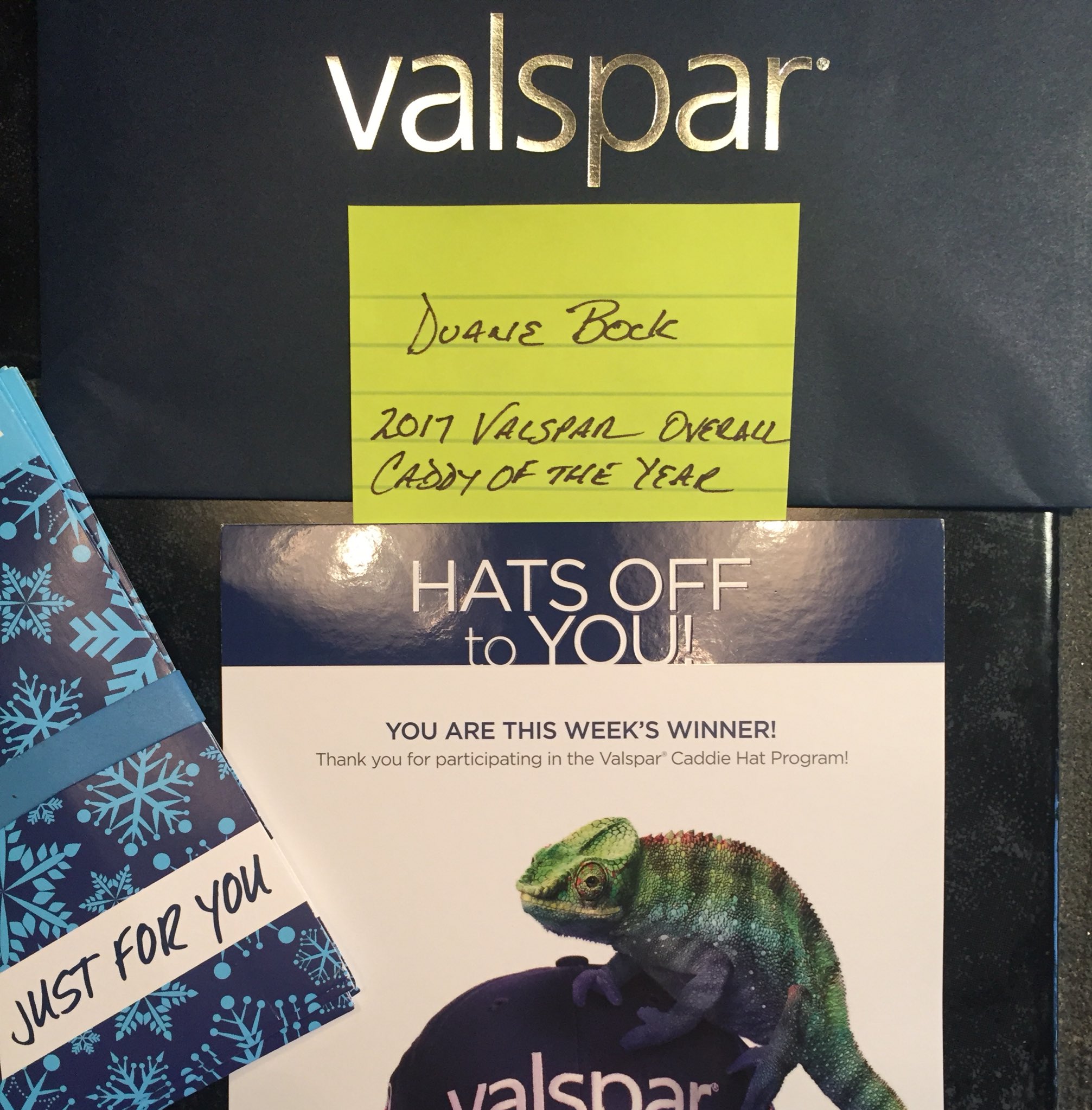 valspar caddie hat