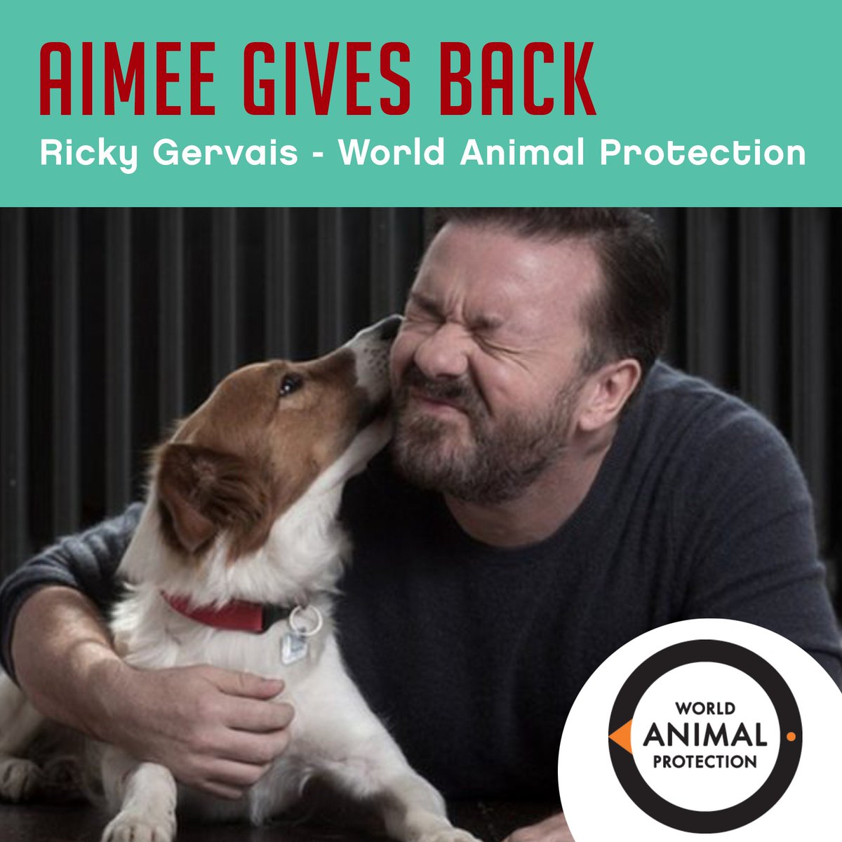 For our annual #BBGivesBack, <a href="/aimcook/">Aimee Cook</a> is donating to <a href="/MoveTheWorld/">World Animal Protection</a>, inspired by <a href="/rickygervais/">Ricky Gervais</a>. Here's her story: ow.ly/v2mT30hfVZT