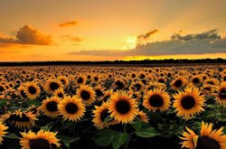 LDCHEALTH's tweet image. Health for the 21st Century summit is Jan. 16! Free event! Register today! bit.ly/2ATd1XH #publichealth @KUCommHealth @KDHE @KUMedCenter @kresgefdn @KUHealth @KHIorg @KUnews @WichitaState