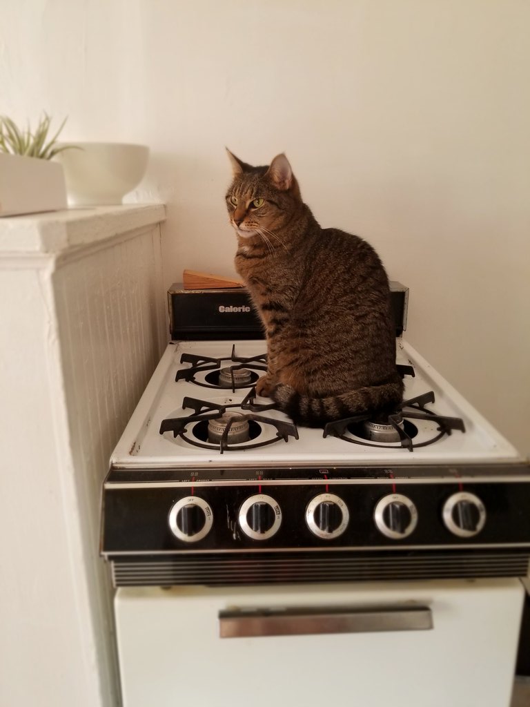 Should I be worried?