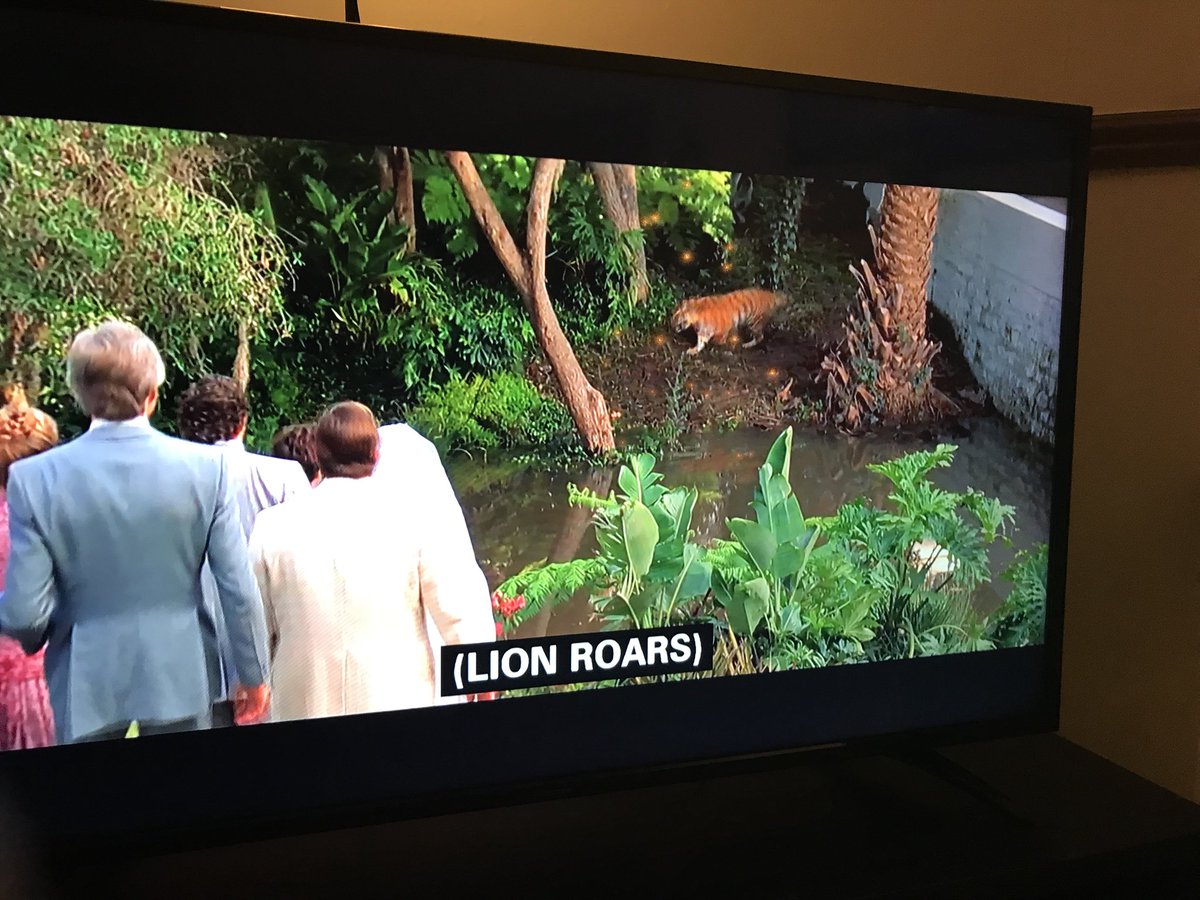 Jimmy_S_Oldham's tweet image. Yeah, a lion, sure

#scarface #subtitleerrors