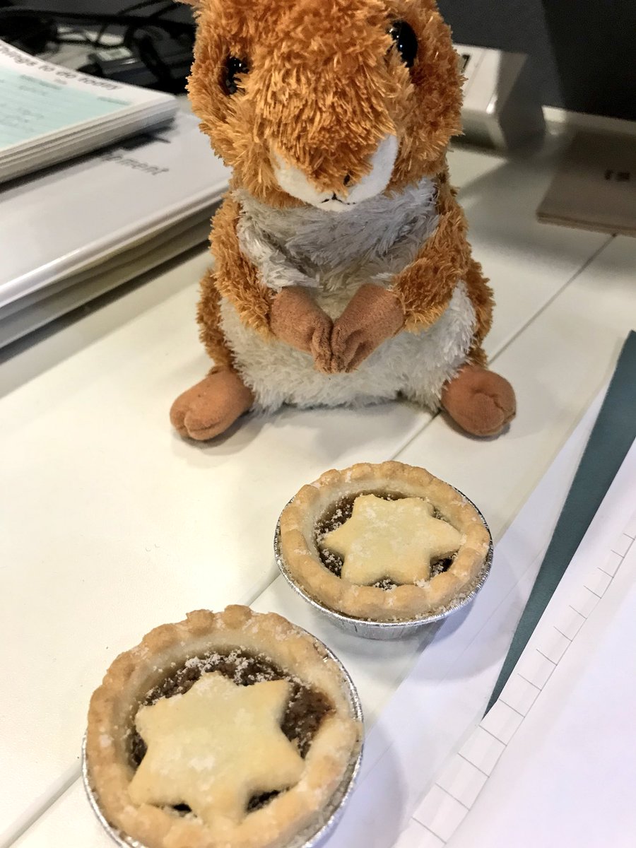 AGMSquirrel tweet media