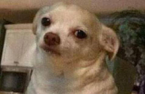 _GoldenFreak's tweet image. [ y el negro tipo: