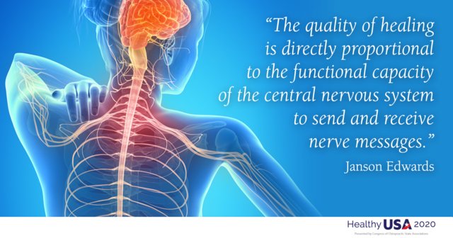 In order for your body to repair itself as it should, messages need be able to get through. Keep your nervous system free of interference with chiropractic.