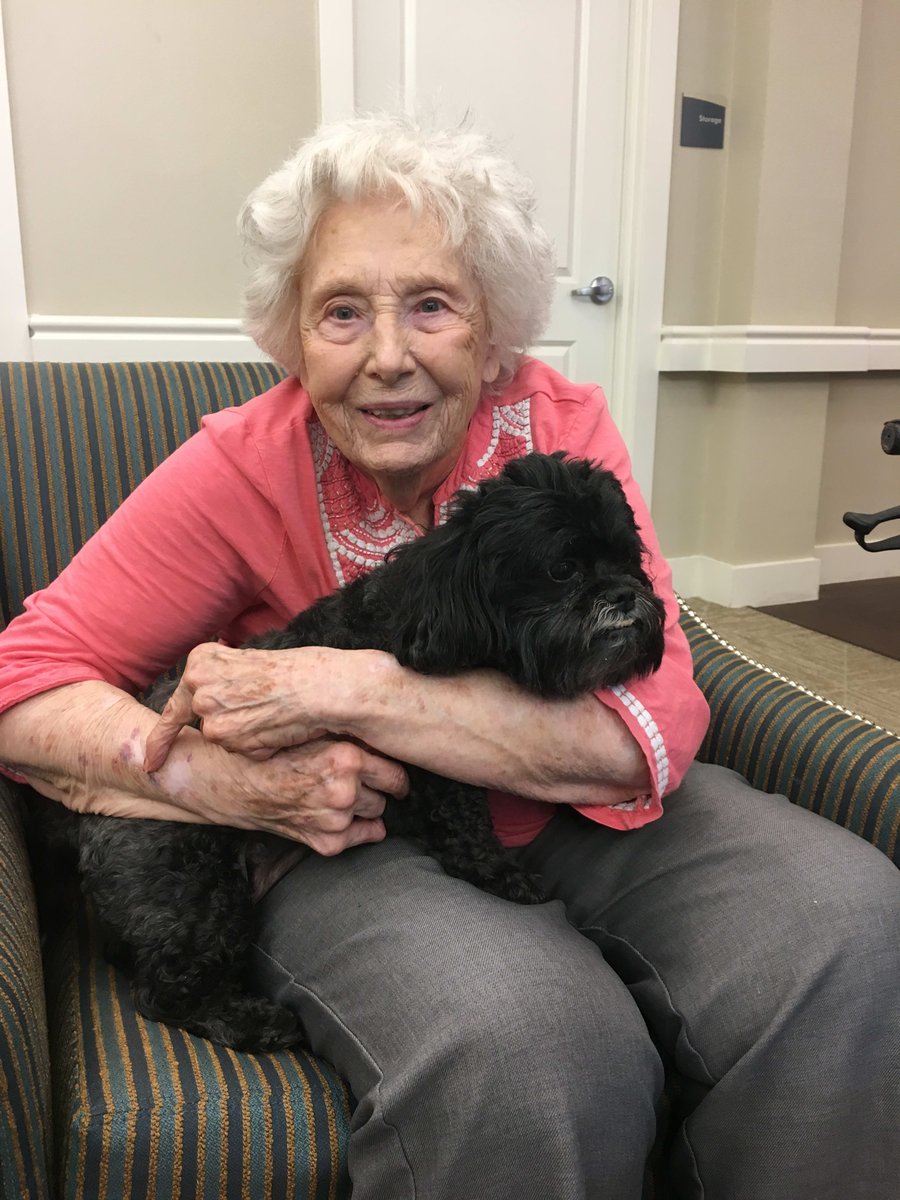 HeartisArlingto's tweet photo. The daily joy that Mandy brings to Heartis Arlington is amazing! Virginia loves spending time with our community puppy, Mandy. #FrontierCulture. https://t.co/TCIwofO6fq