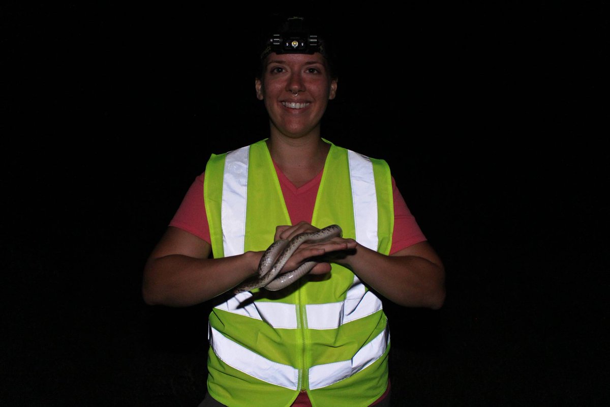 Aria Jordan ( ariaEjordan) Twitter