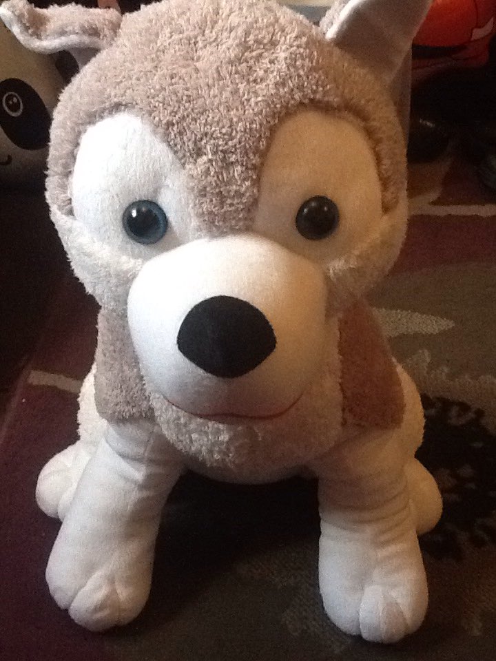 Won him on a raffle last night