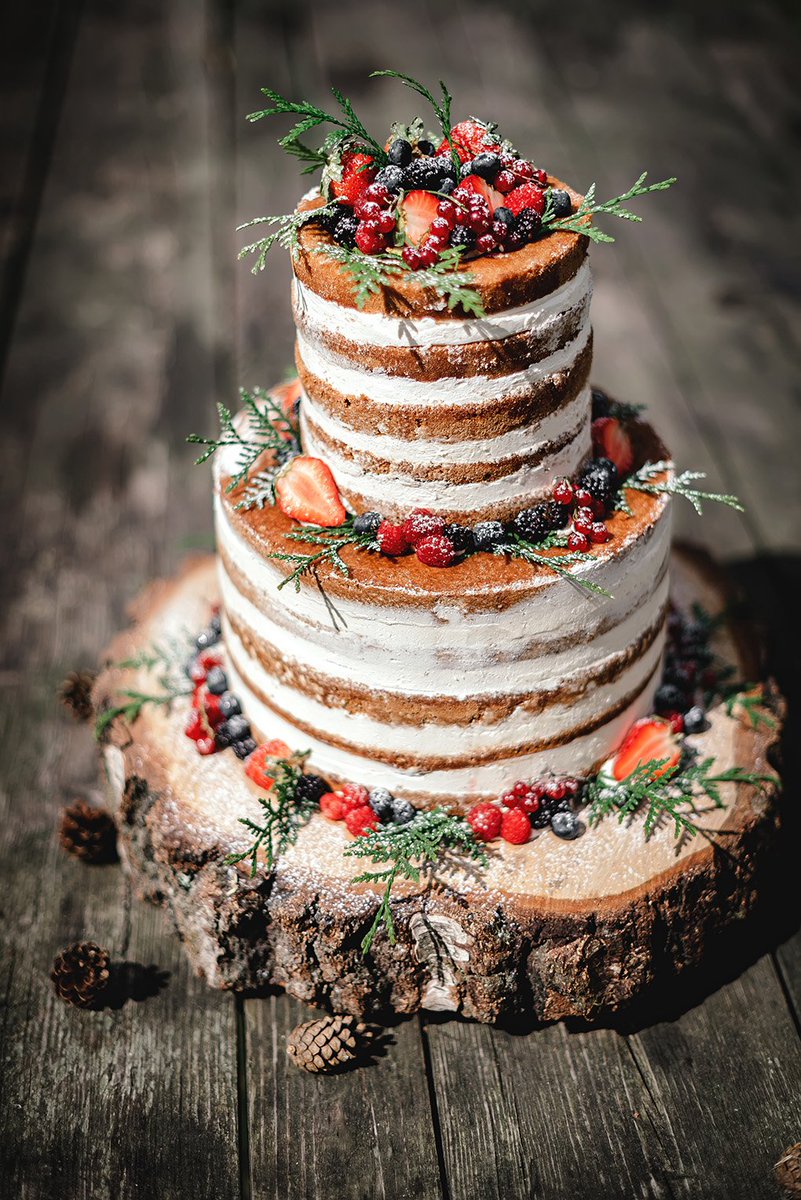 TopsyCakeDesign's tweet photo. Spring has sprung! Celebrate the change of the season with this beautiful "back to nature" custom cake. Order today: https://t.co/s1oLMA7s9I https://t.co/FMpJpBLJ88