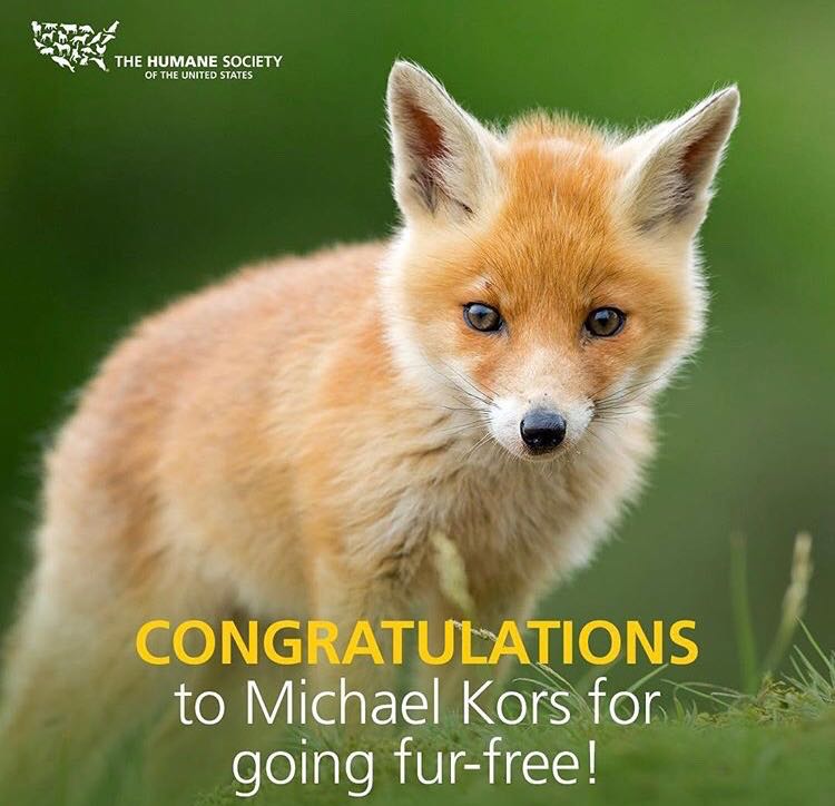 loopnyc2's tweet photo. Congratulations Michael Kors @MichaelKors for going fur-free along with its brand @jimmychoo Jimmy Choo. We love our client Humane Society and our HR girls love the animals!!! #crueltyfree #michaelkors #furfree #humanesociety #experientialmarketing #loopitnyc https://t.co/WnyEsODbtd