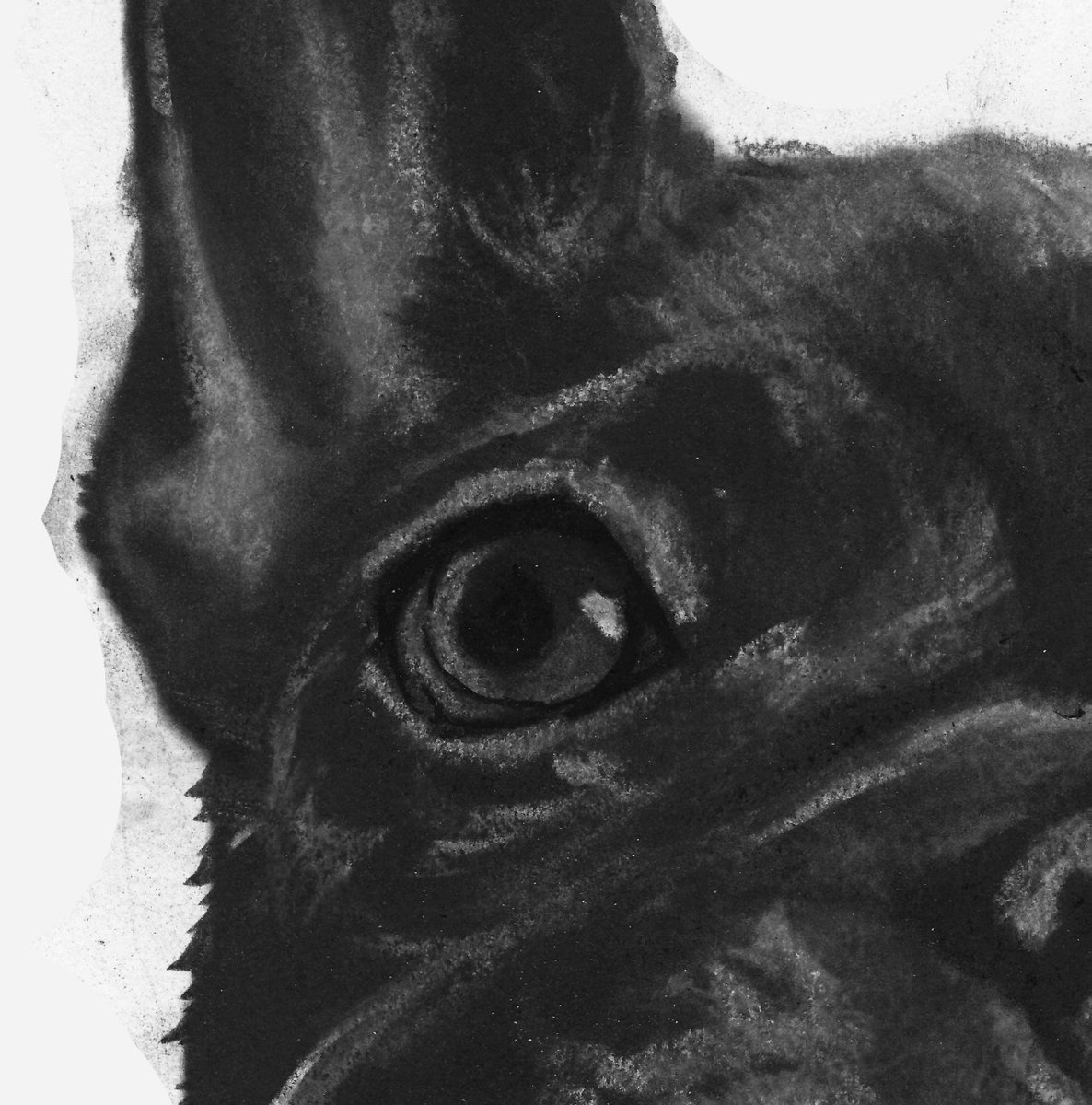 OscarJetson's tweet photo. French bulldog art print, Frenchie gift,Frenchie Art, Black frenchie,… https://t.co/r9t2nISev2 #dogmom #FrenchieGift https://t.co/RJLnk2skcV