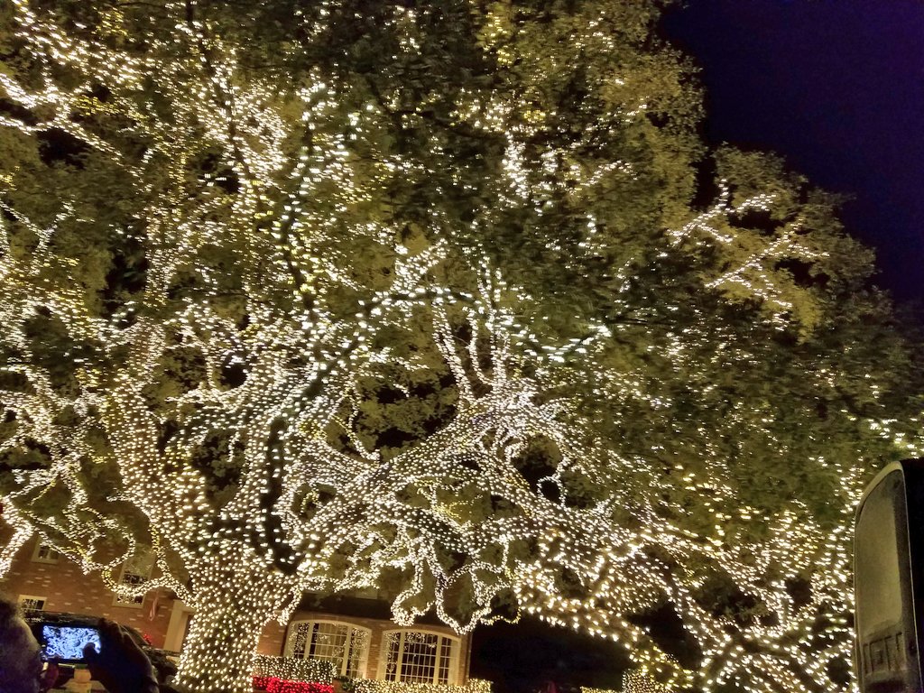 ramfonseca's tweet photo. Perfect weather for the River Oaks Christmas Lights tour on @mistermckinney #houstonhistorybus https://t.co/iKxa7M3NLQ