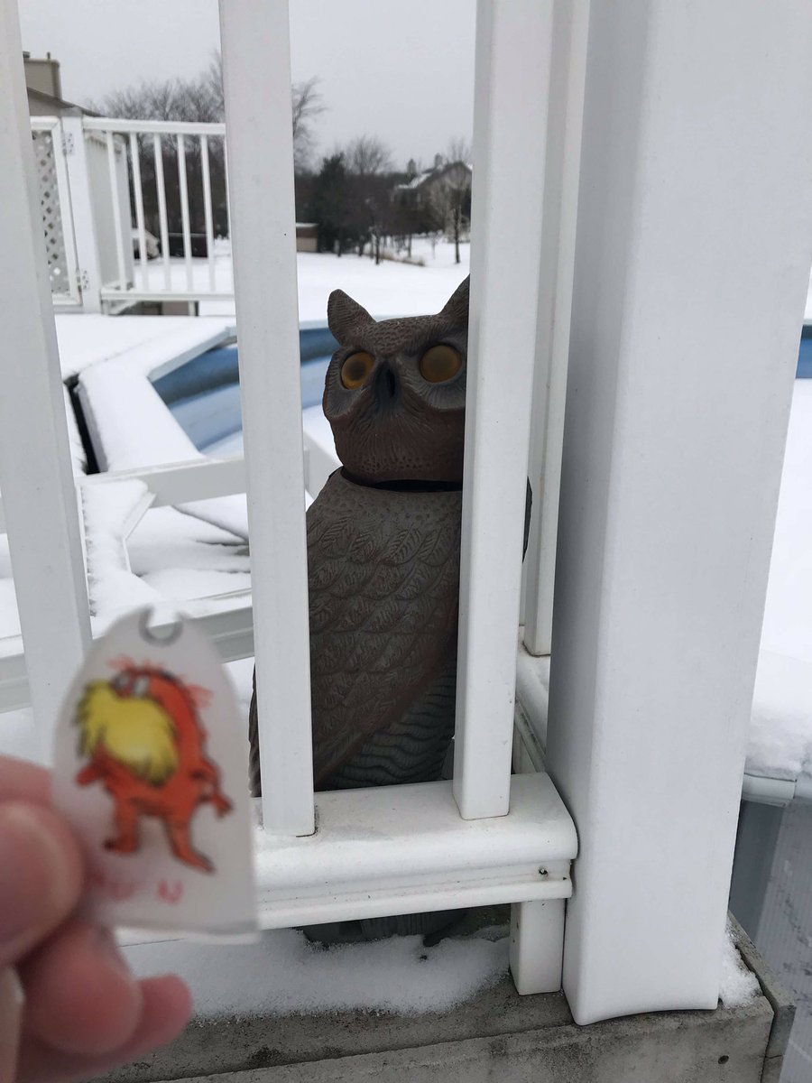 ml505643apes's tweet photo. This wise owl helps keep the invasive geese population away! @franklinlorax #apeseco https://t.co/pxJBTnnadm