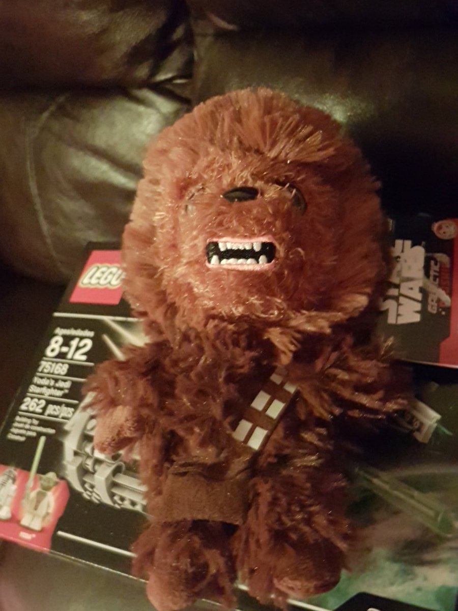 Firavin's tweet photo. Its so fluffy! https://t.co/lTL6uI27Xj