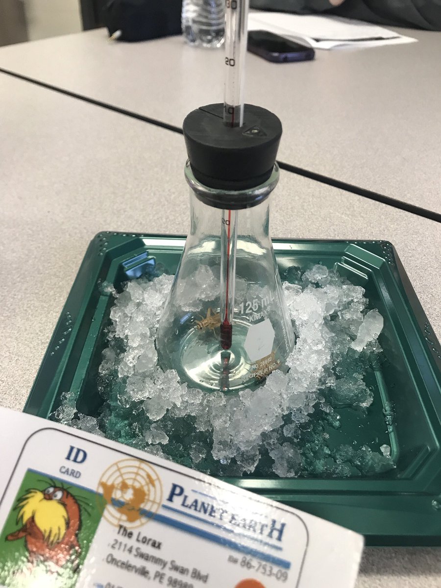 GraceHFHS's tweet photo. Unlike bears, who hibernate in the winter, crickets go dormant when the temperature drops. @franklinlorax #apeseco https://t.co/TGcVPvwJ2v