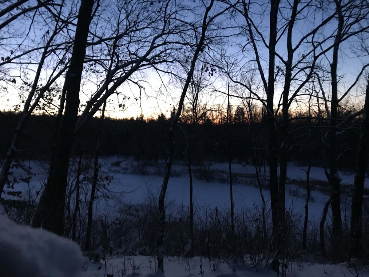 WhitetailBattle's tweet photo. Snowfall makes for some of the best late season hunting. #LetItSnow https://t.co/qArf6vqTBo