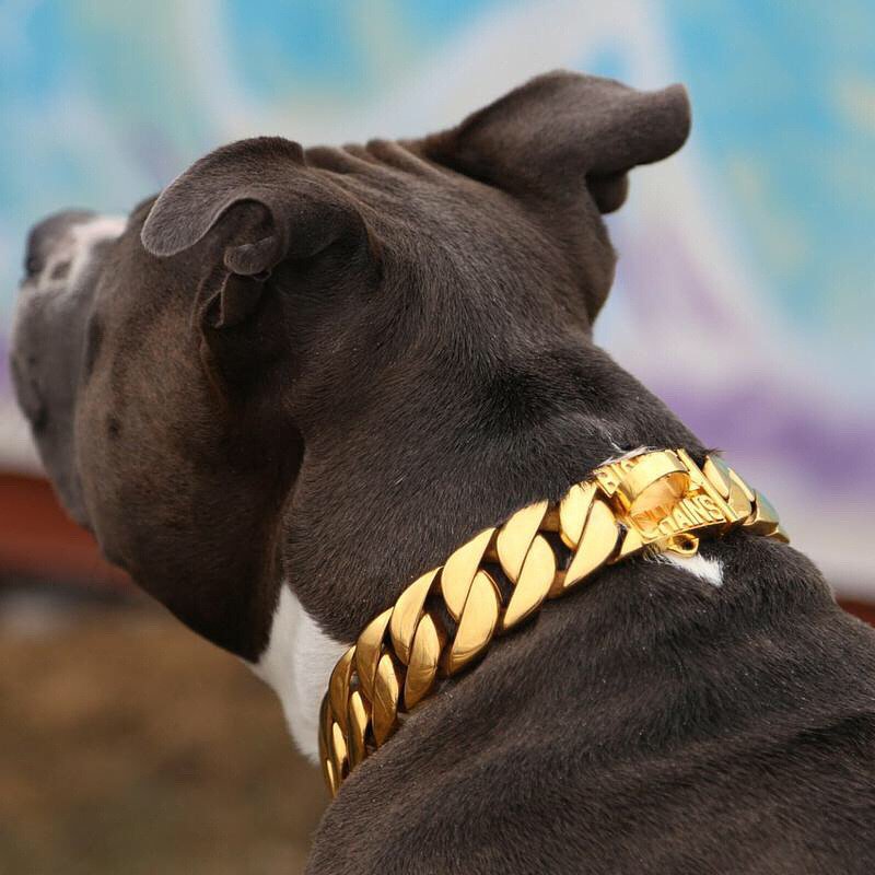 thuglifepapi's tweet photo. Dog Flexing His Gold Chain. https://t.co/KSx7UvBN1e
