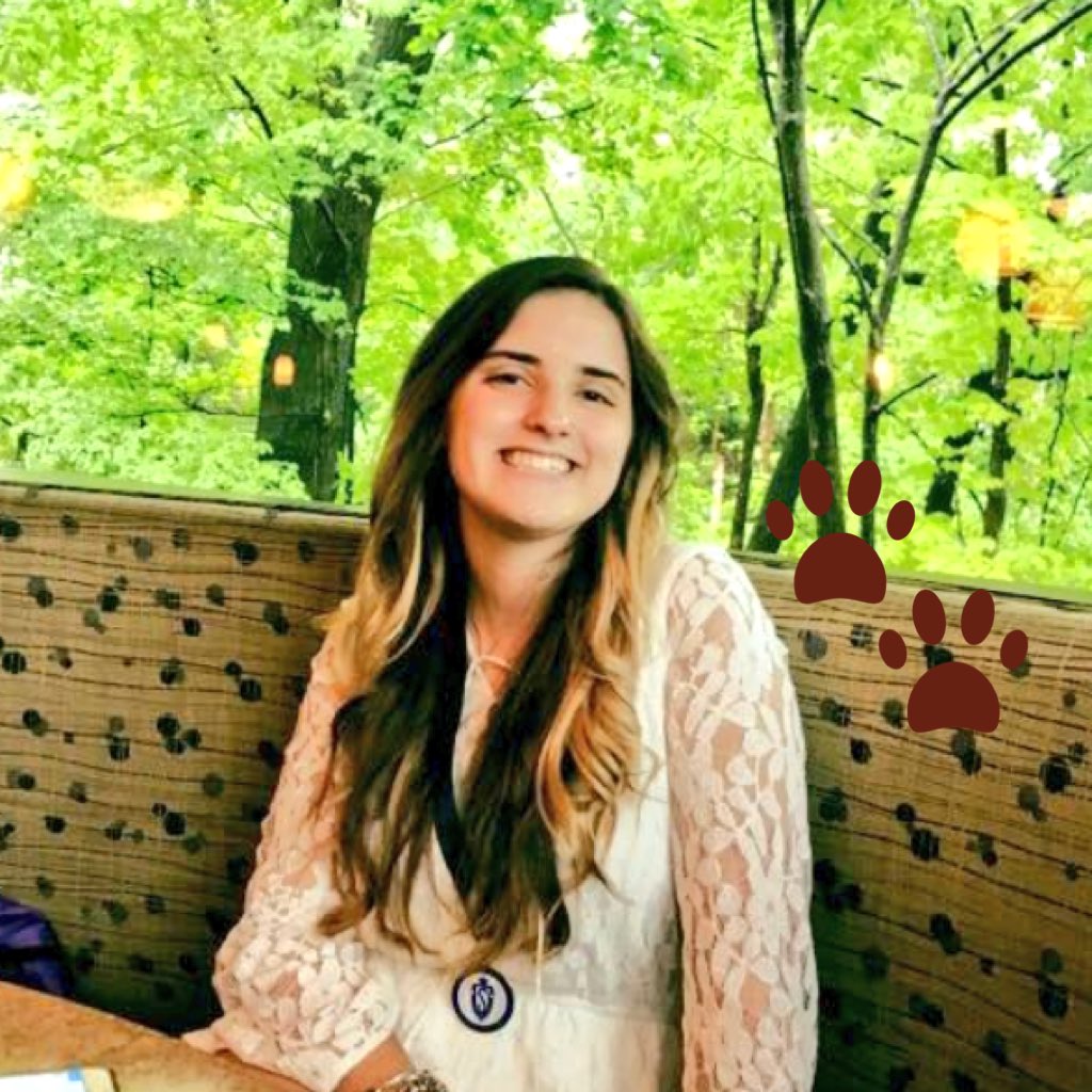 Kocmit89's tweet photo. #NewProfilePic https://t.co/rvHKTPBp3i