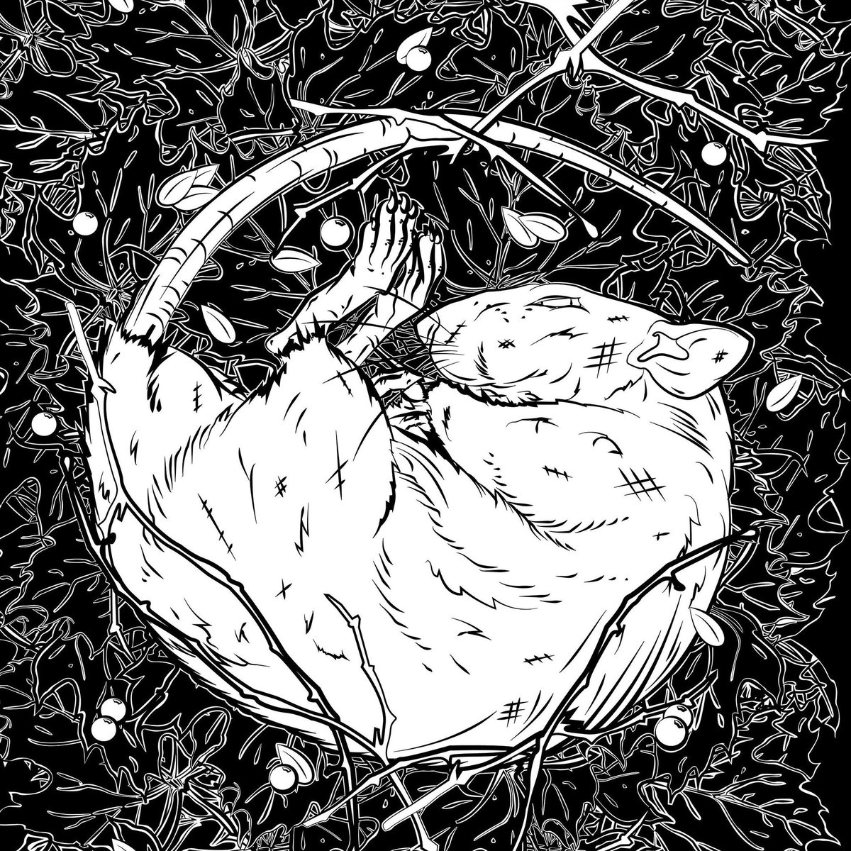 Disclosed Creations tweet media