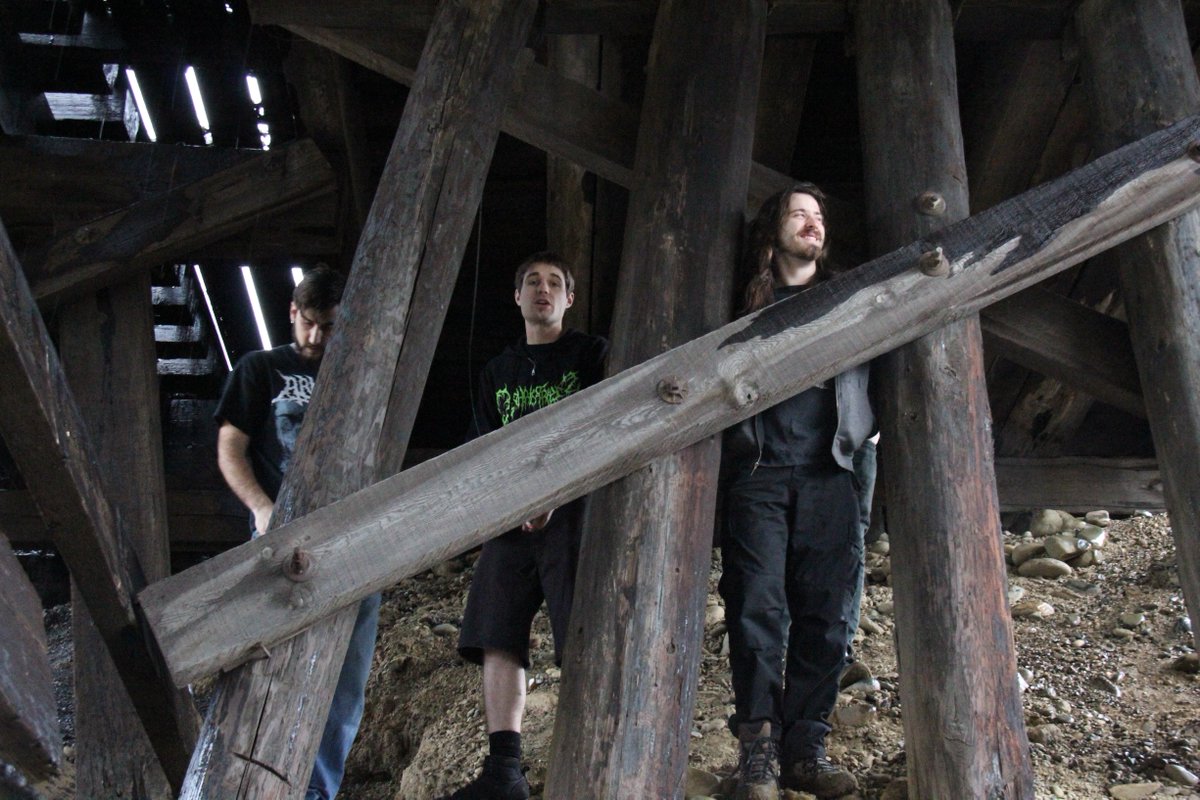 Logistic Slaughter tweet media