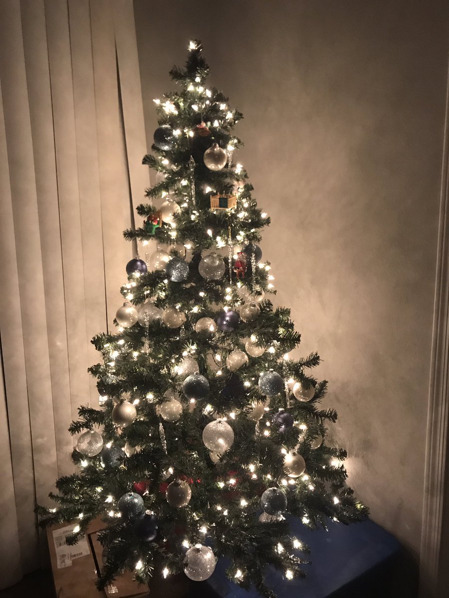 StrangersAstory's tweet photo. When your mom gives you all her Christmas Tree decorations because she wanted to do new colors this year  #ItsChristmas #TreeBoss https://t.co/4VhJ8JIwuG