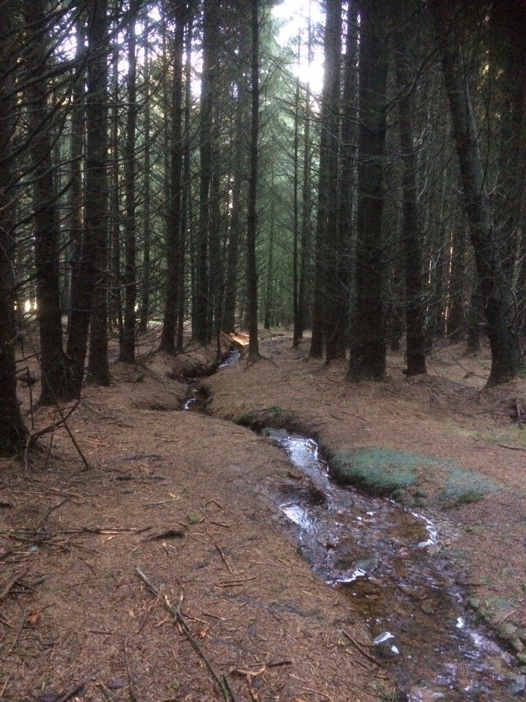 TrotTurkey's tweet photo. Just back from course inspection (morning run)and its ermmmm perfect. 

Bone dry
Ice free
Flat
Zero wind https://t.co/H9alK15dlu