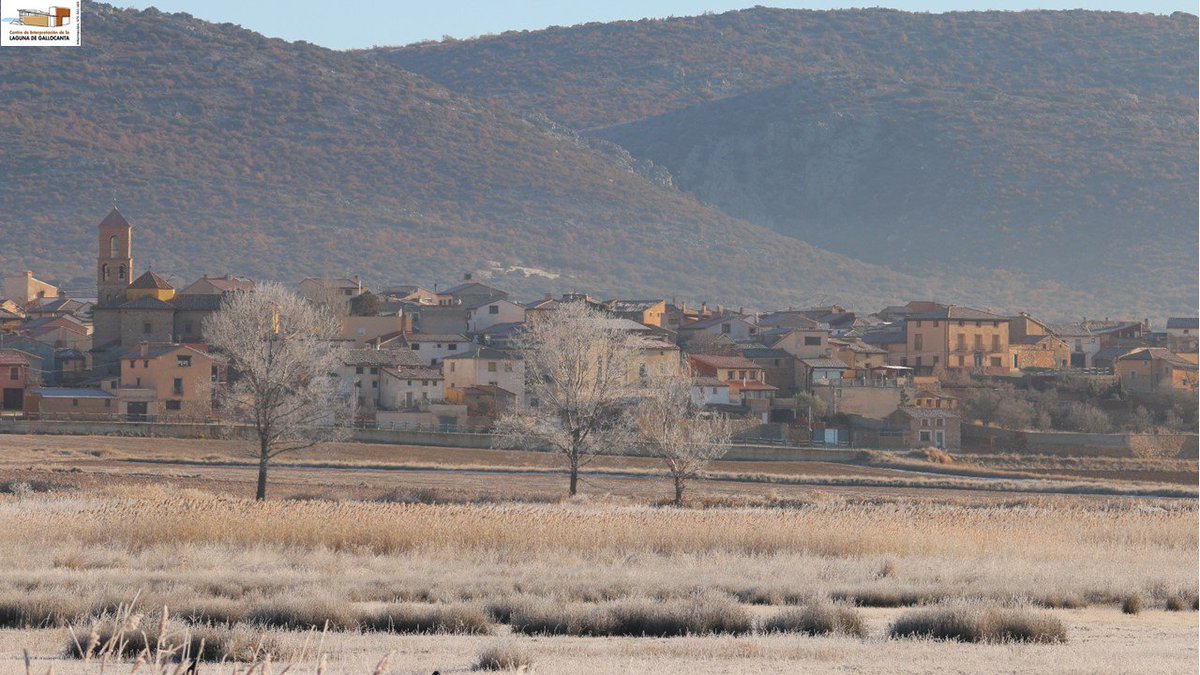 Una mañana, "fresquita" en la Cuenca de #Gallocanta... pero... todo tiene su encanto. #FelizFinde Sábado 16 de diciembre.
Fotografías: Mª Carmen Tornos.