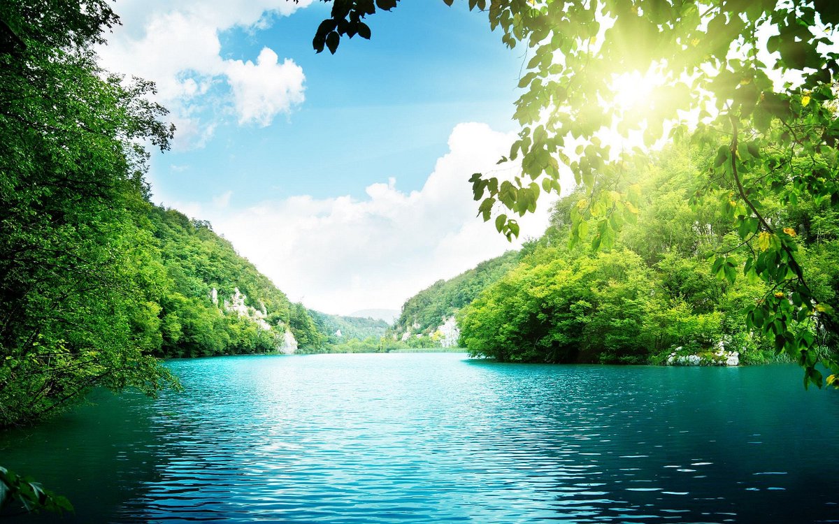 EtherGreenPage's tweet photo. The Bounty campaign is over! Payments will be received in the next few days. We will start with translation companies and blogs. Thank you for participating! #EtherGreen #GREEN #ETH #blockchain https://t.co/uwDW01KEto