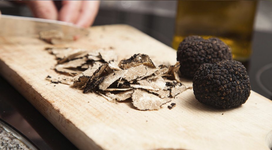 Las lluvias del verano son las que hacen que en invierno haya trufas. En <a href="/trufbox/">Trufbox</a> una trufa de unos 30 gramos cuesta alrededor 40 euros. España es el primer productor mundial de trufa. Es de los mejores lugares para producirla. @CyLesVida <a href="/sorianitelaimag/">¡Soria ni te la imaginas!</a>