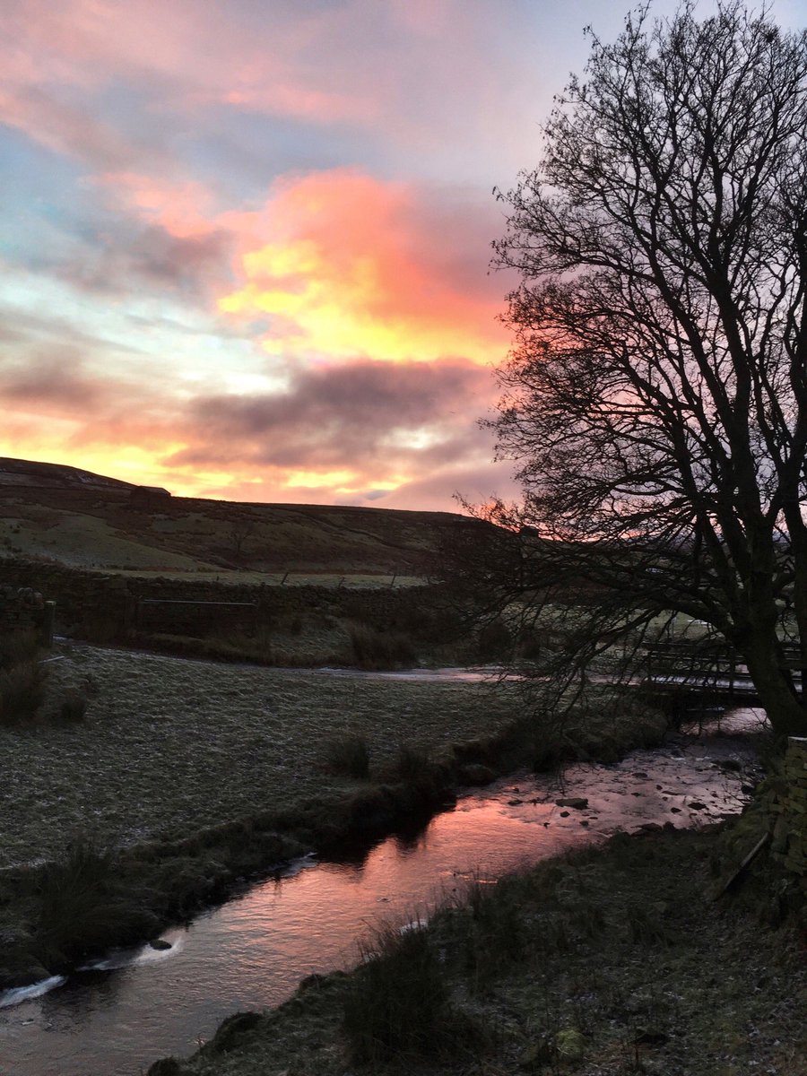 AmandaOwen8's tweet photo. Sunrise on a frosty morning in Swaledale. 🌅 https://t.co/ysV0J4TgE2