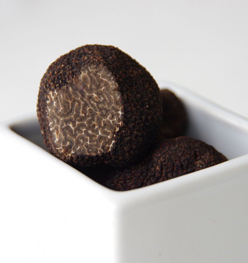 La trufa es un manjar que degustar en fresco. En trufbox.com se puede comprar trufa de 30, 50 ó 100 gramos e indica su procedencia.
El "Trufiturismo" por Soria y Teruel es una excelente opción de viaje y se está poniendo muy de moda. <a href="/trufbox/">Trufbox</a> @CyLesVida <a href="/aragonturismo/">Turismo de Aragón</a>