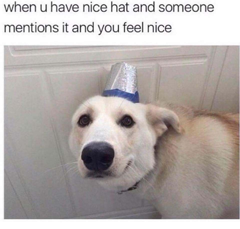CutenessGen's tweet photo. https://t.co/wtsfxzO7HF https://t.co/m37mRbaXgw