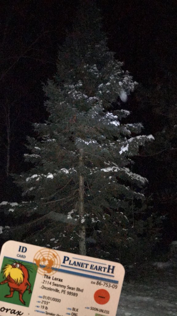 AR509669apes's tweet photo. This tree provides vital shelter for many organisms including squirrels k-strategists who try and raise their young and protect them in this home #apeseco @franklinlorax https://t.co/J5ONHK7TYH