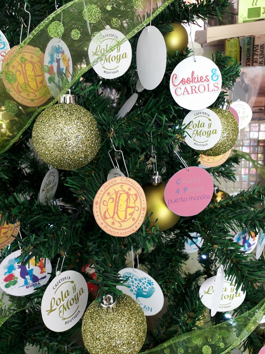 JC_Fundraising's tweet photo. #JCFundraising HQ #JCFMexico getting ready for #christmas #lolayloya #puertomorelos #mexico best food, best people where good things happen. @JadenCornelious https://t.co/DSZ2UKTdaM