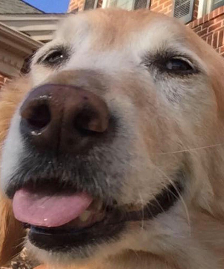 APurpleton's tweet photo. @Fatpour #fatpour #upshow hi Riley! https://t.co/s3rZbciCMZ