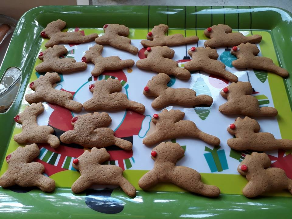 JadenCornelious's tweet photo. A great time at @JC_Fundraising #JCFMexico #Cookies & #Carols Night money raised for great local causes !! and a lovely #Christmas time was had by all <3 https://t.co/YSmfTnVrby
