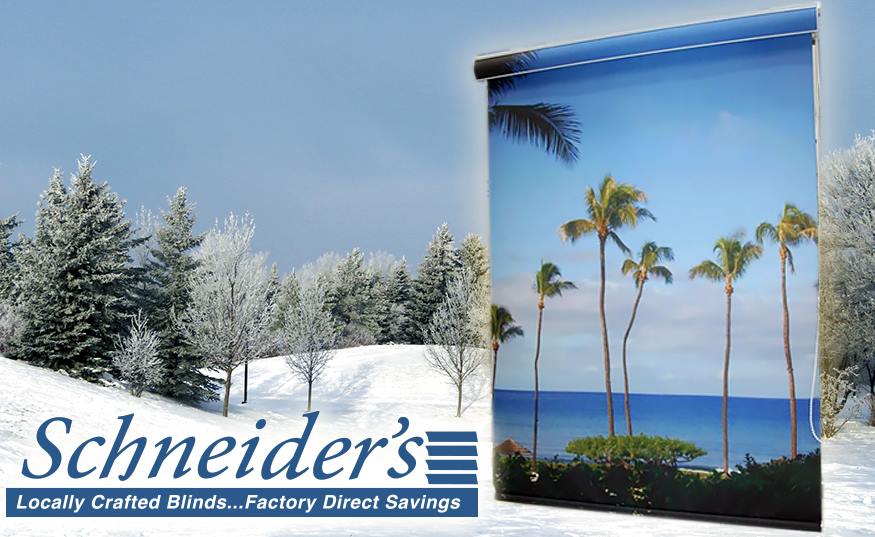 SchneiderBlinds's tweet photo. Get that warm, tropical feeling, during the cold of winter with custom window shades! PERSONA Shades are unique #shades that you design. Choose from Cellular, Roller or Roman shades. You design it. We print it. #CustomWindowShades
(608) 786-2262 ~ https://t.co/Yv8TSgOUtH https://t.co/DHFexbrdWK