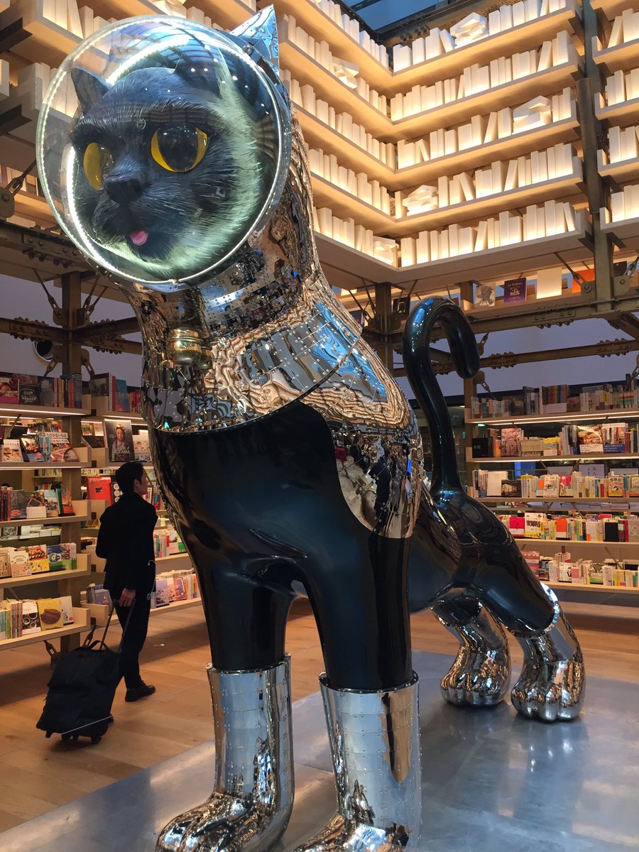 TripHugger's tweet photo. Cats. #TripHugger #ginza #ginzasix https://t.co/CR54xjL2A0