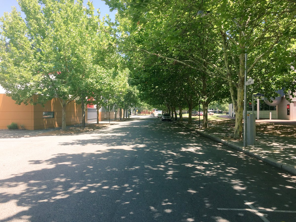 bikewalkperth's tweet photo. Look! Perth can create cool shady streets! Now to replicate this on the other 99.9999% Fielder St East Perth. #PerthUrbanDesign https://t.co/tyhBFAvYWJ