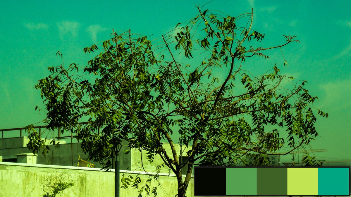 moingshaikh's tweet photo. Colors of Life #2 - Autumn

#ColorsOfLife #ColorPalette #EverydayColors #Design #UIDesign #GraphicDesign #autumnphotography #autumnleaves https://t.co/7J2GcUqafP