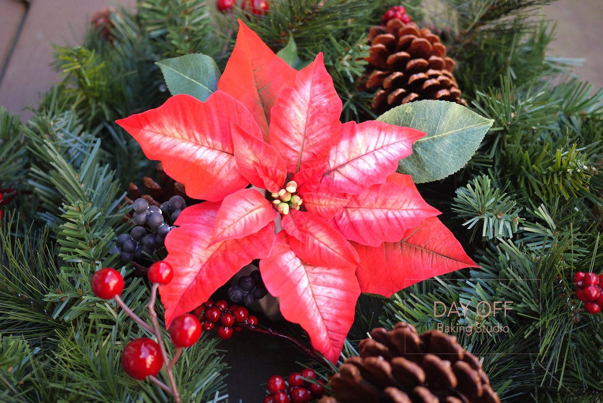 DayOffBaking's tweet photo. I got the inspiration from the poinsettia I saw at St. Louis botanical garden.
#poinsettia #sugarflowers #dayoffbaking #StLouis https://t.co/GqObcLHn4u