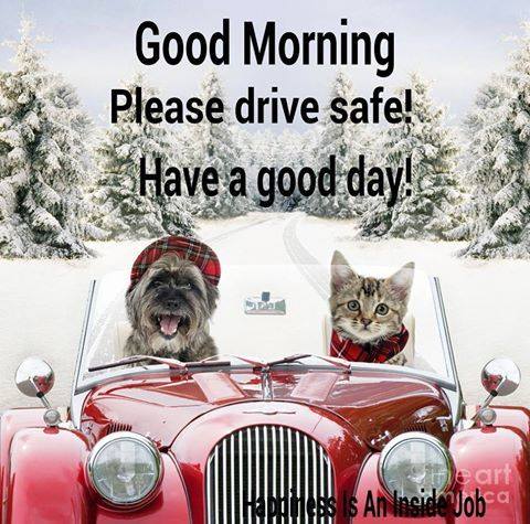 NWmwaypolice's tweet photo. Careful if you're setting off this morning, It is cold and icey out there. Please take your time. Keep your distance.

If you have been out last night at a Christmas event, please think before you decide to drive #areyoulegal https://t.co/LDQjLQa9Op