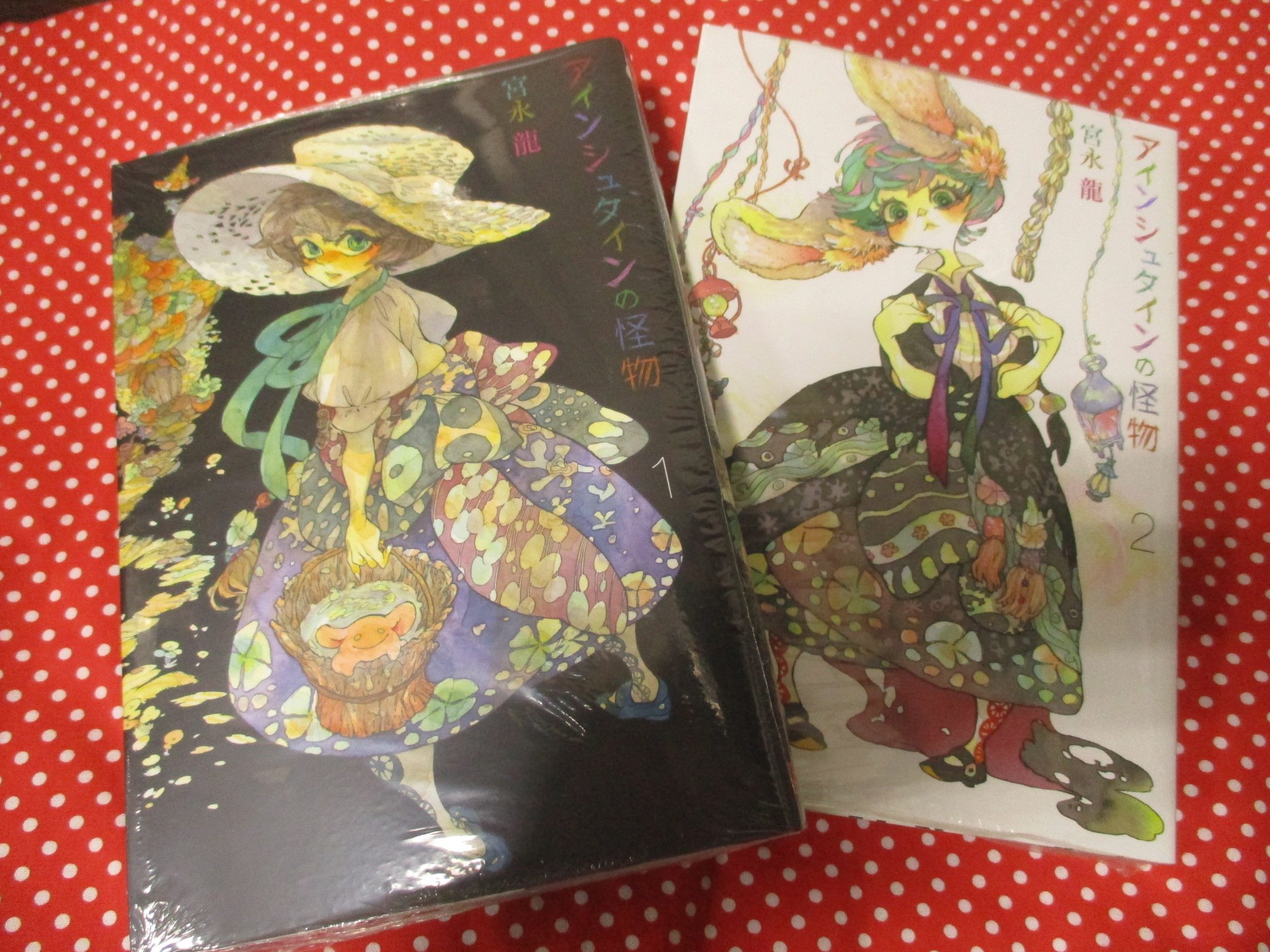 アニメイト渋谷 短縮営業中 Auf Twitter 書籍 そしてスクウェアエニックス担当オススメコミックス本日も紹介するシブ 宮永龍先生 アインシュタインの怪物 シブ 月刊gファンタジーにて連載中 漁師の青年レルーと町はずれに住む少年アインシュタイン